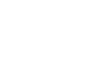 Logo BV4
