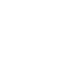 Logo blueAUDIT